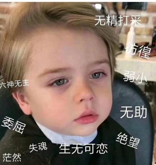 微信吃瓜表情包图片大全