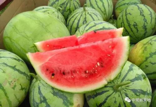 等着吃瓜是什么意思,揭秘网络热词背后的娱乐文化现象